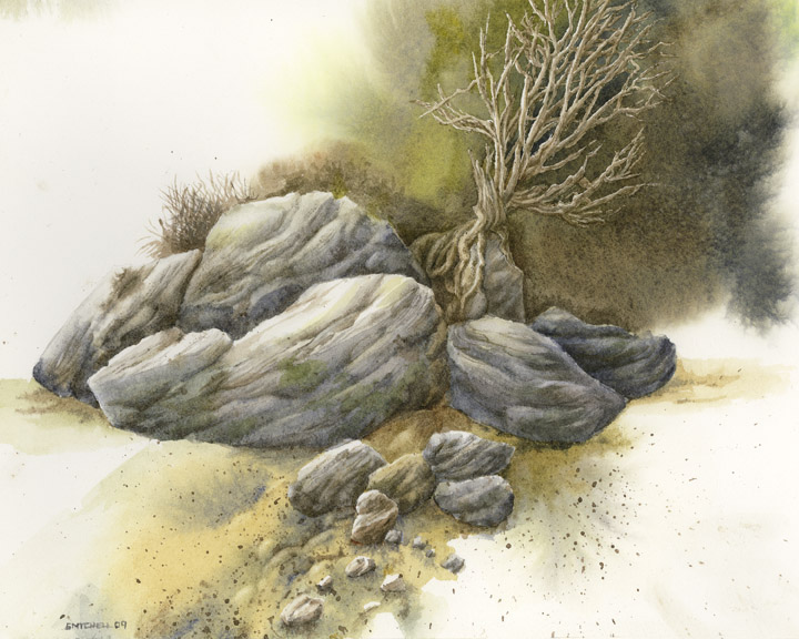 rock_tree_study